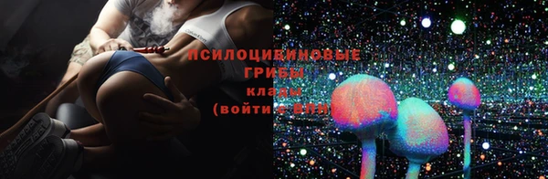 альфа пвп Болхов