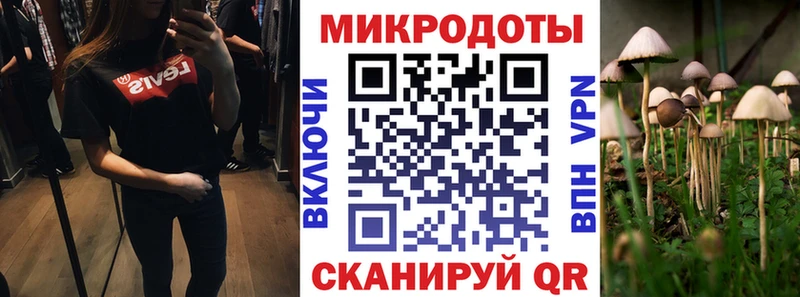 ОМГ ОМГ зеркало Биробиджан Псилоцибиновые грибы Magic Shrooms