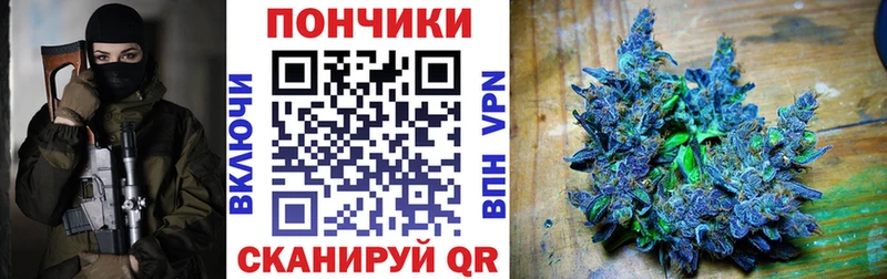 купить наркотики сайты  Биробиджан  Каннабис сатива 